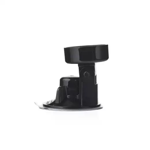 Lady_Gaga_Baile_Masturbator_Suction_Cup